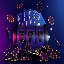 winxx bet
